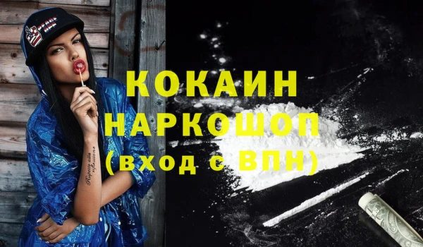 стафф Арсеньев
