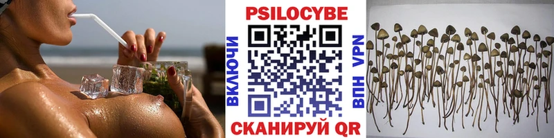 где можно купить   Спасск-Дальний  Галлюциногенные грибы Cubensis 