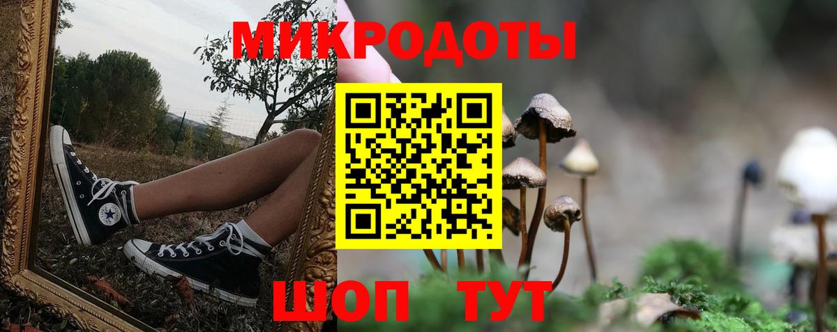 Псилоцибиновые грибы Magic Shrooms  Псилоцибиновые грибы мухоморы  как найти   Спасск-Дальний  Вход с VPN 